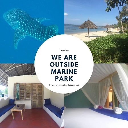 Afro Whale Shark Safari Bed and Breakfast Kilindoni Buitenkant foto