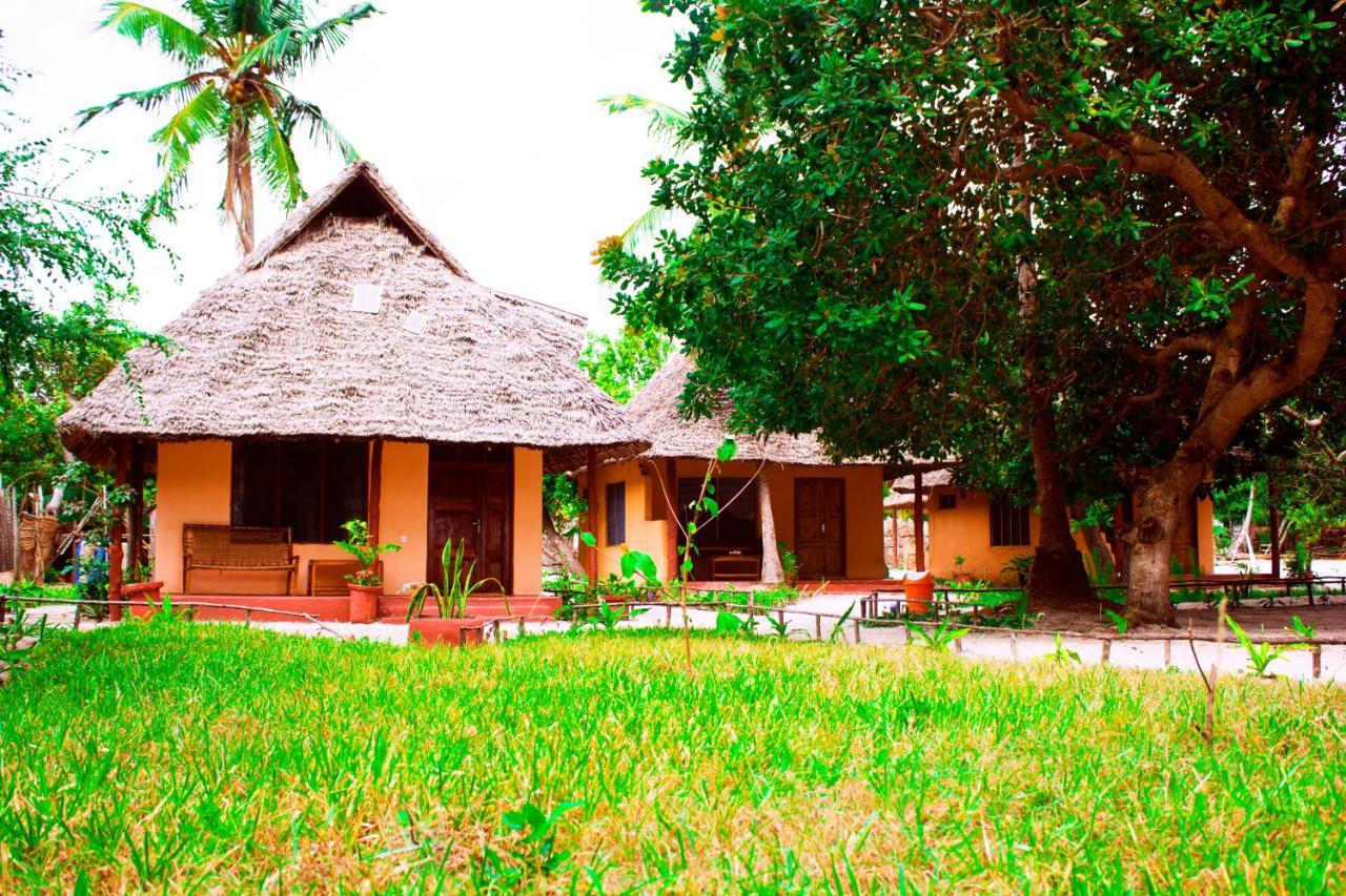 Afro Whale Shark Safari Bed and Breakfast Kilindoni Buitenkant foto