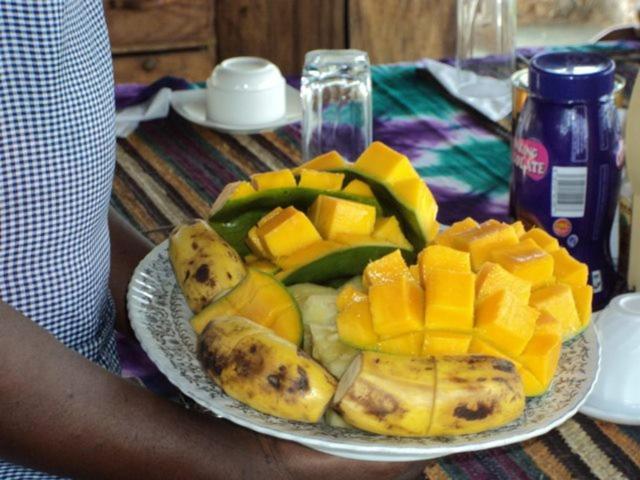 Afro Whale Shark Safari Bed and Breakfast Kilindoni Buitenkant foto
