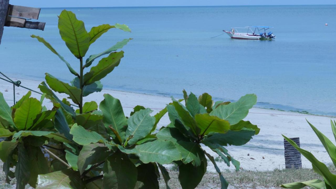Afro Whale Shark Safari Bed and Breakfast Kilindoni Buitenkant foto