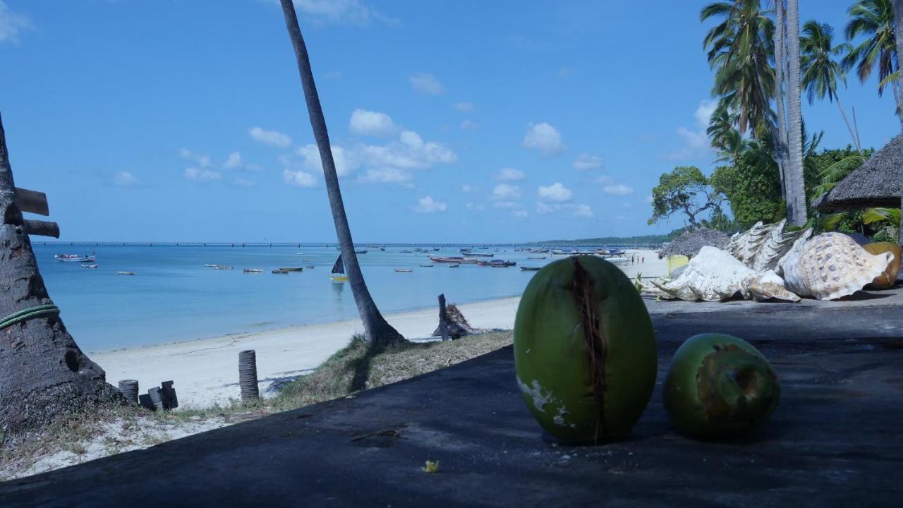 Afro Whale Shark Safari Bed and Breakfast Kilindoni Buitenkant foto