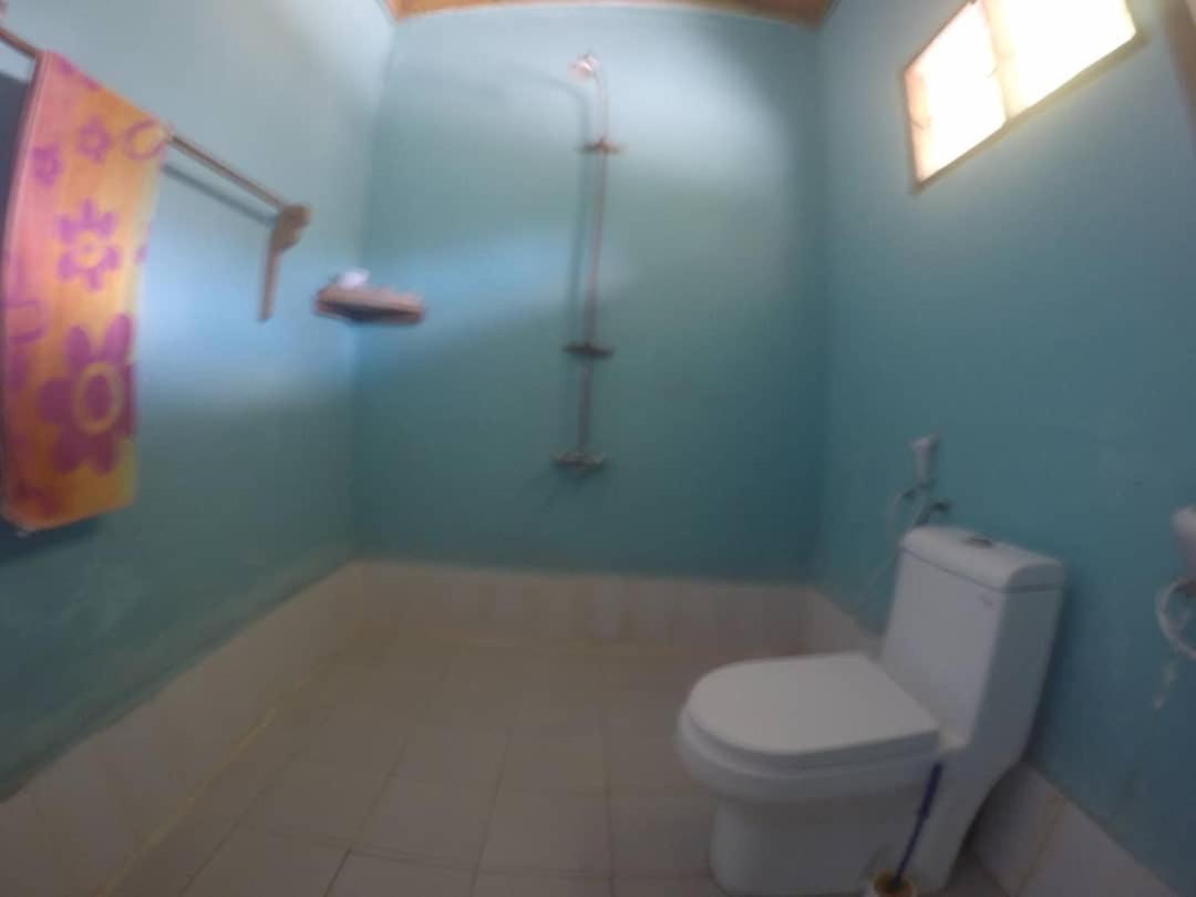 Afro Whale Shark Safari Bed and Breakfast Kilindoni Buitenkant foto