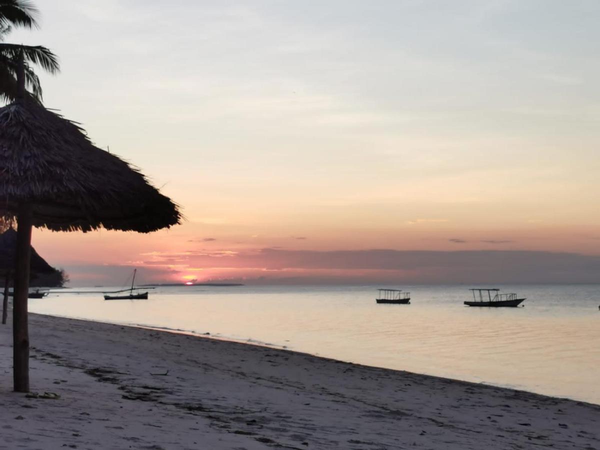 Afro Whale Shark Safari Bed and Breakfast Kilindoni Buitenkant foto
