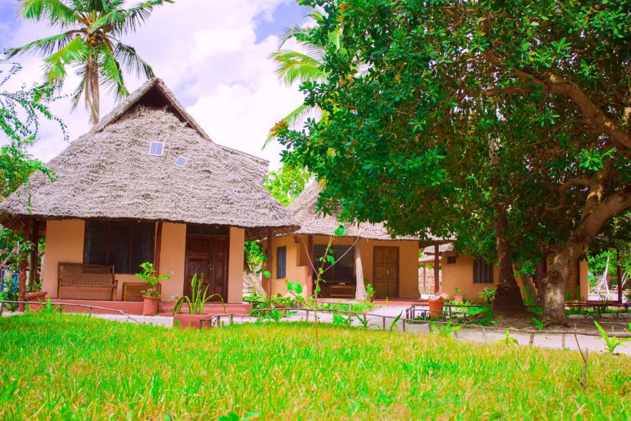 Afro Whale Shark Safari Bed and Breakfast Kilindoni Buitenkant foto