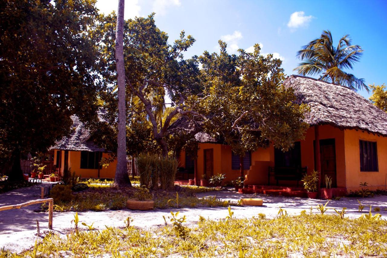 Afro Whale Shark Safari Bed and Breakfast Kilindoni Buitenkant foto