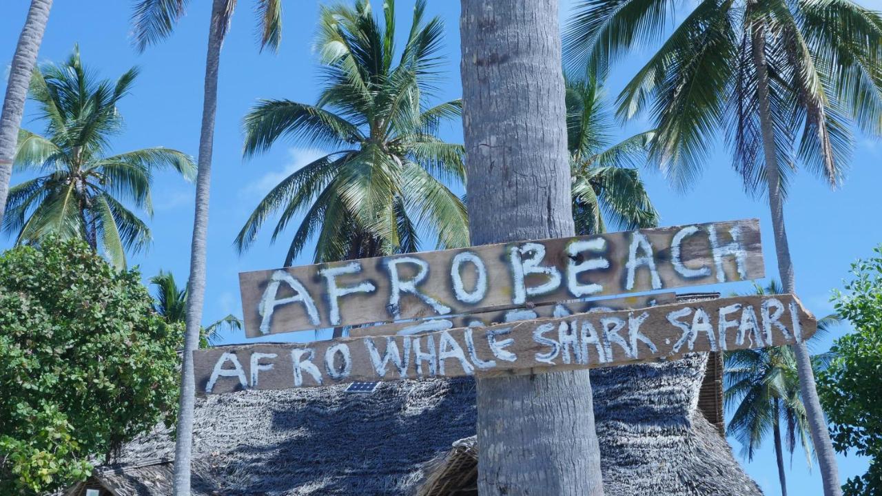 Afro Whale Shark Safari Bed and Breakfast Kilindoni Buitenkant foto