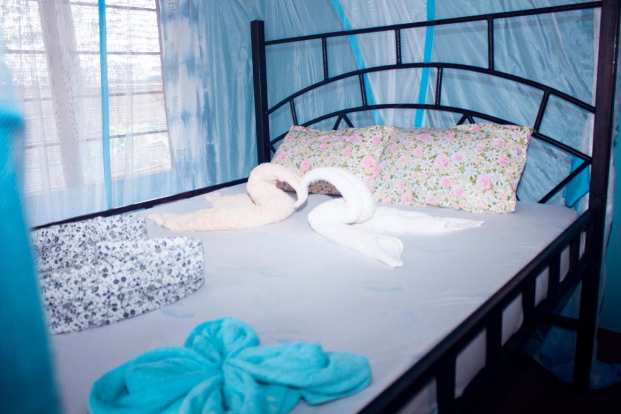 Afro Whale Shark Safari Bed and Breakfast Kilindoni Buitenkant foto